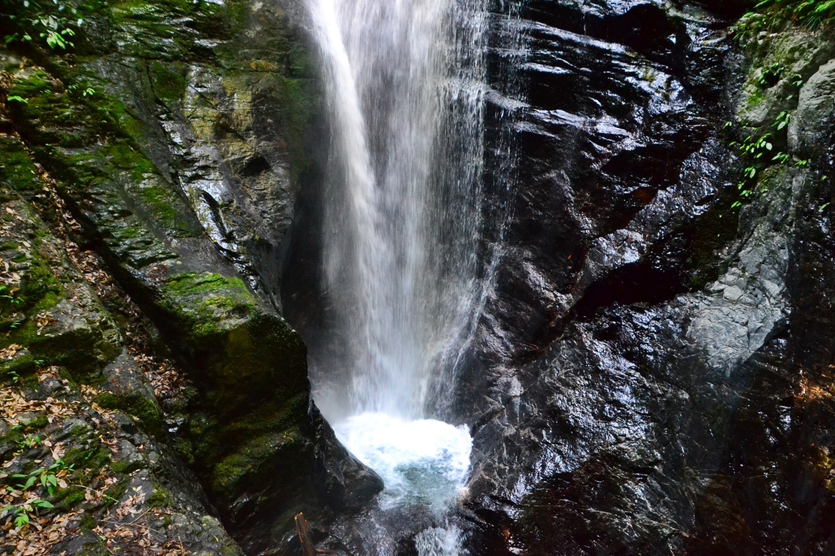 x̑3ӏ́uꌩvĂ݂悤