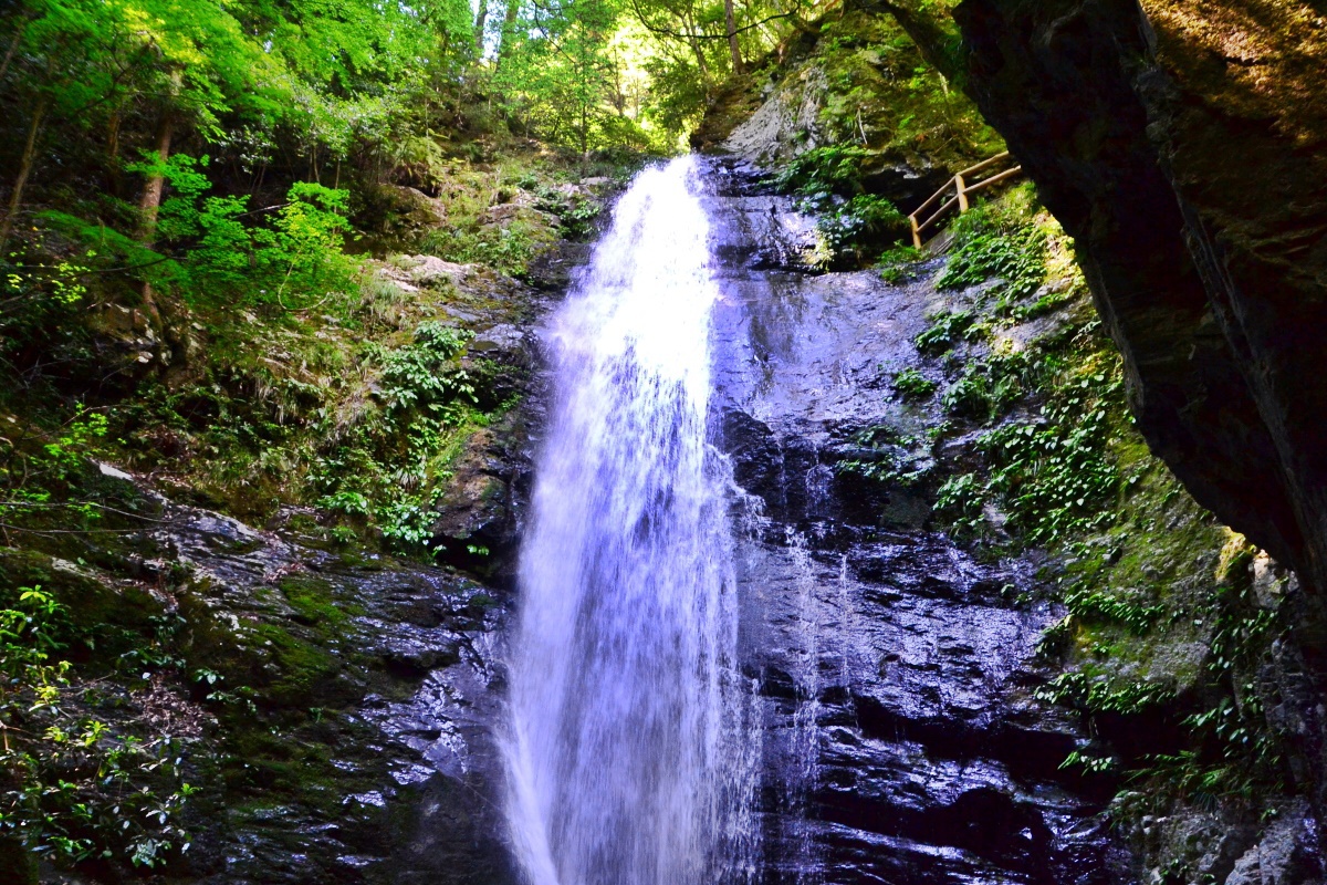 x̑3ӏ́uꌩvĂ݂悤