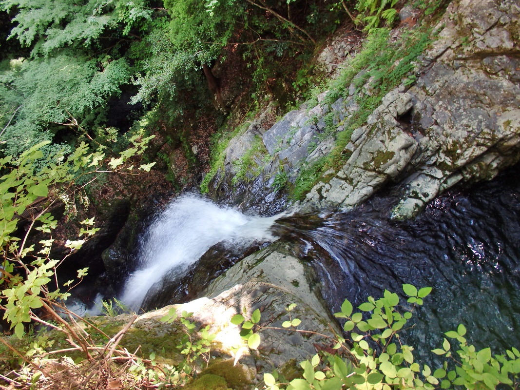 x̑3ӏ́uꌩvĂ݂悤