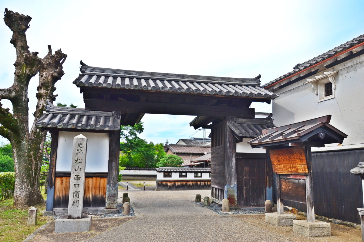 FɏR̃V{ FɎsjفůفv