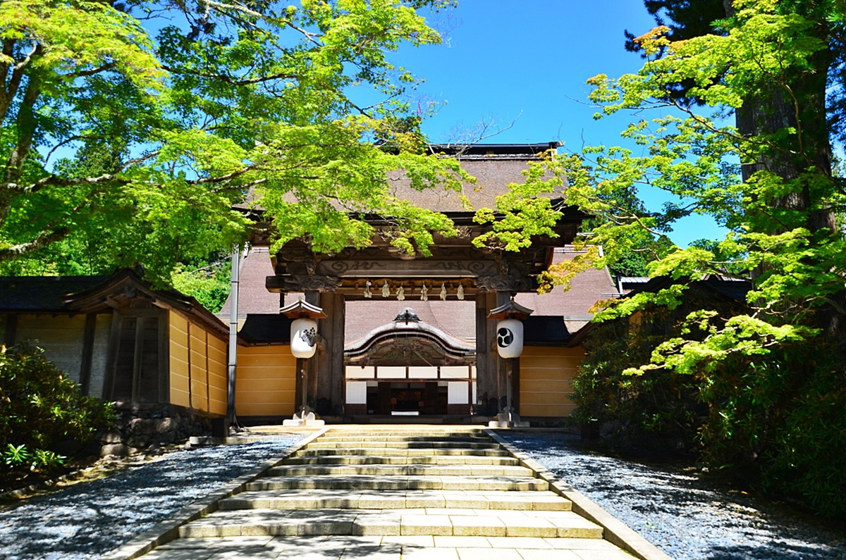 ���������̂͂��܂�͖L�b�G�g�䂩��̐ގ�����