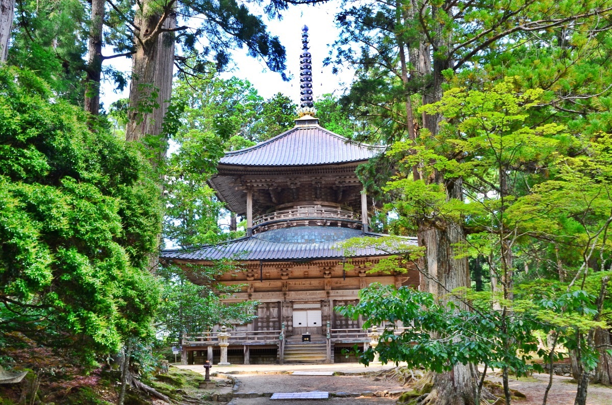 �ÐF���R�Ƃ����u�����v�́A���{�哃�Ƒ΂��Ȃ��d�v�ȑ���