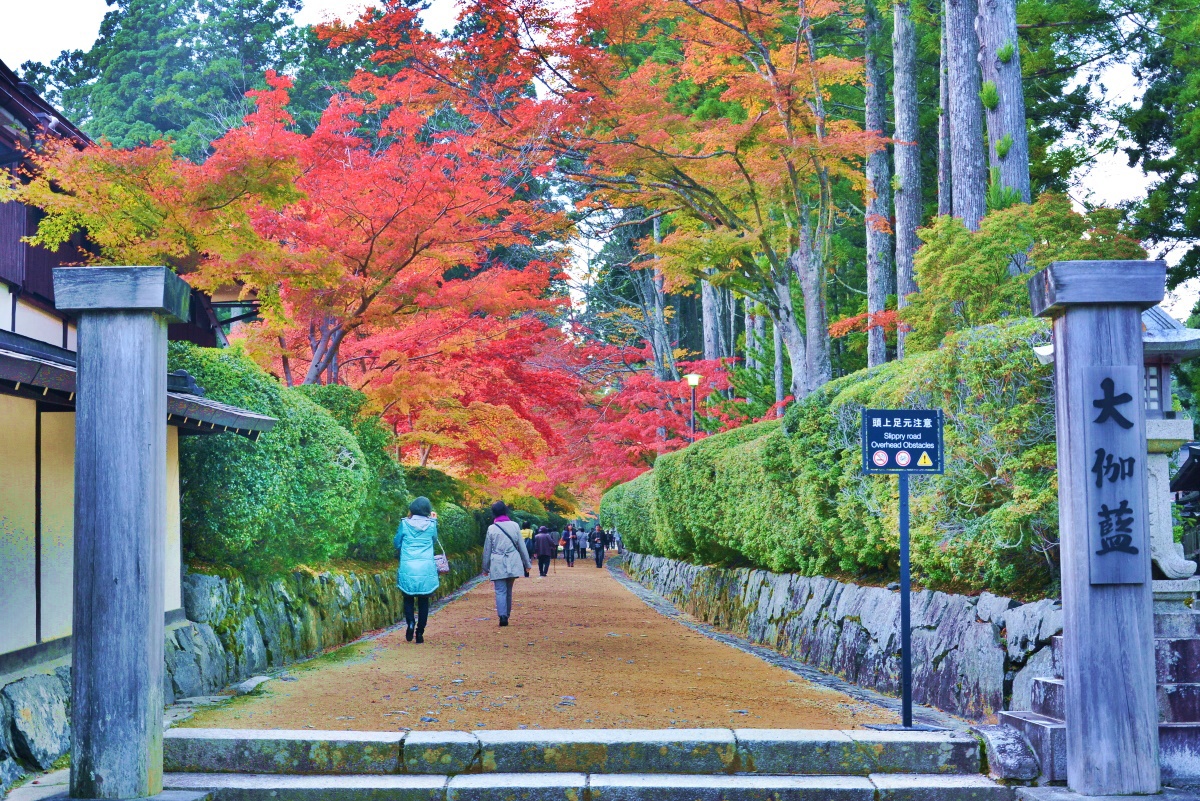 �d�㉾���߂���̃t�B�i�[���u�֕����v�͍g�t�̖���