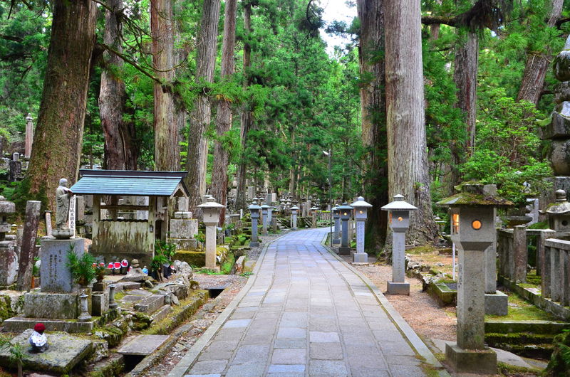 和歌山・高野山「奥之院」は今も弘法大師が人々を見守る聖地 | 和歌山県 | トラベルjp 旅行ガイド