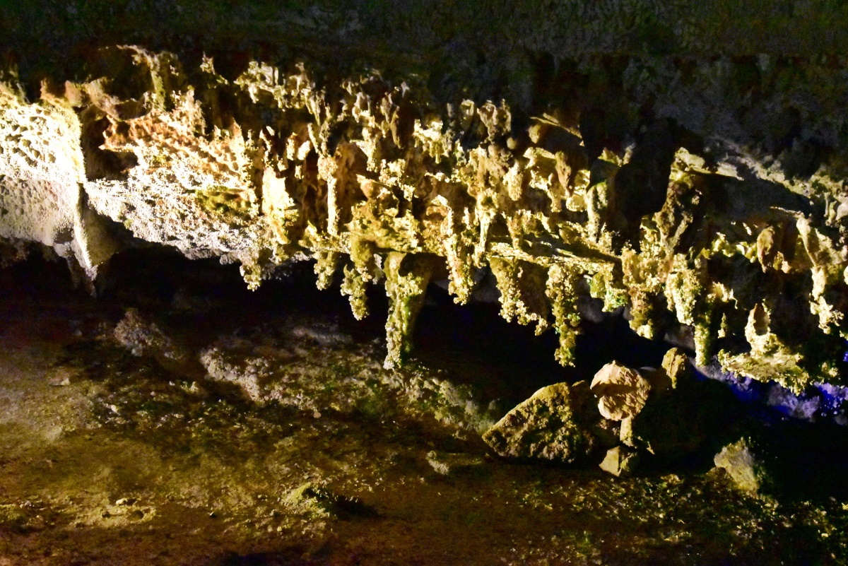 神秘のアナザーワールドへ！奈良・天川村「面不動鍾乳洞」 | 奈良県