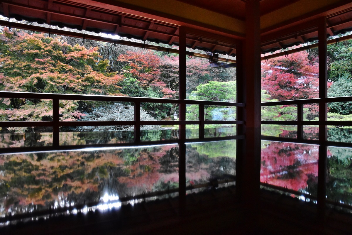 滋賀の紅葉の名勝 旧竹林院の庭園 パノラマX版×上下2枚 その他