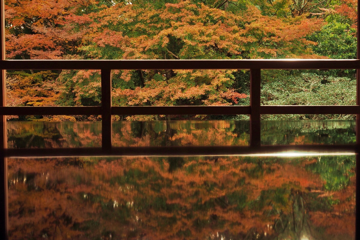 フォトジェニックな秋を！滋賀・坂本の元里坊「旧竹林院」の紅葉