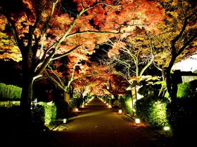 gtCgAbvIEqG䂩́uv̏H̋LTlC