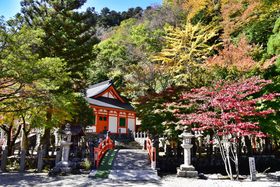 s҂ƑRC҂̐nIޗǁEV쑺uR򎛁v̋LTlC