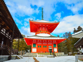 雪の天空の聖地！和歌山「高野山」で金剛峯寺と二大聖地を巡る旅