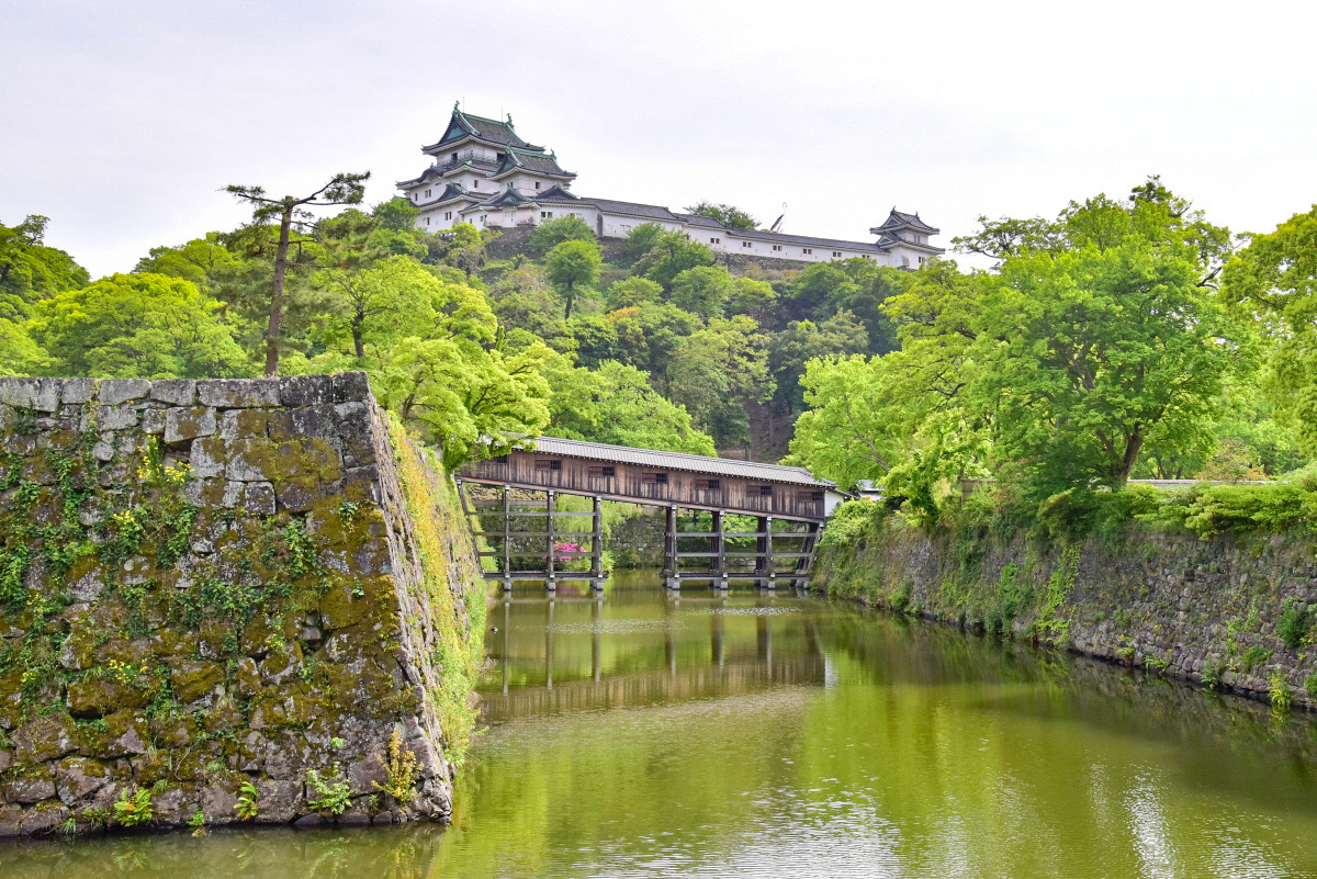 ΂߂ɂu䋴LvƎm点uR̎v