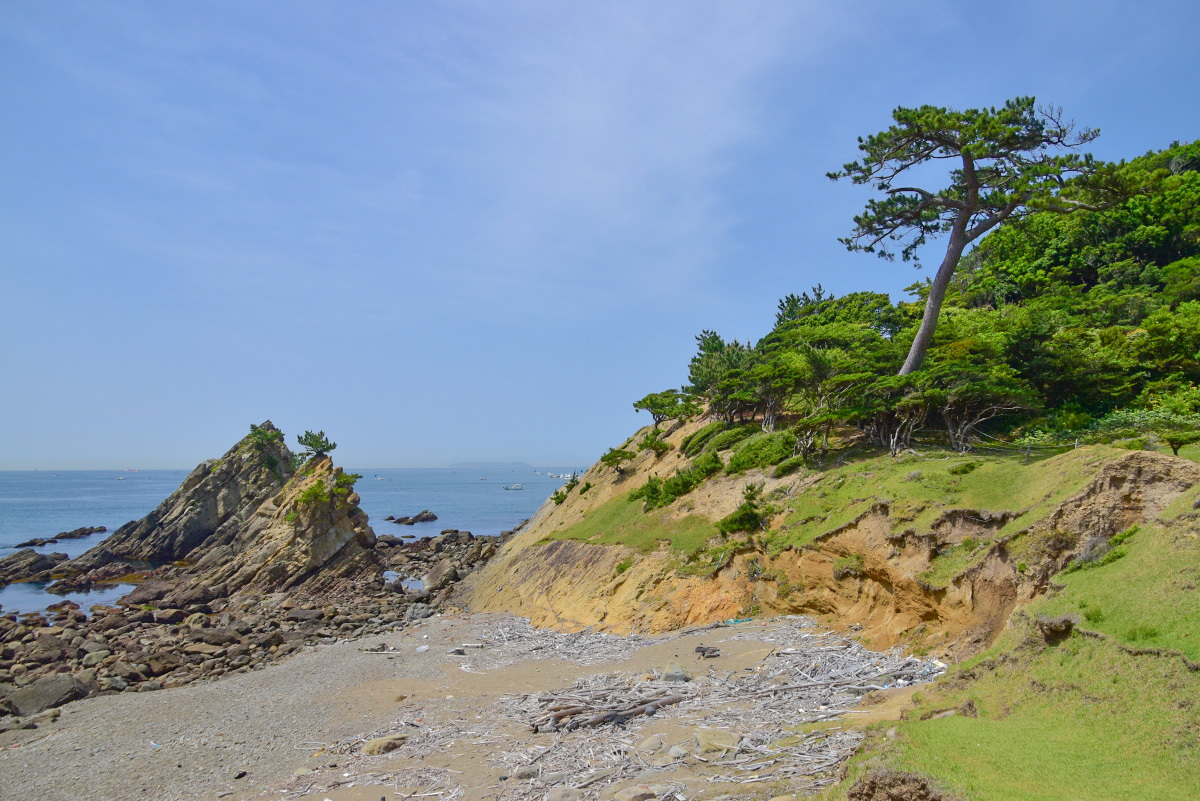 pЊƂ͐^t̑u₩ȕ͋CuFv