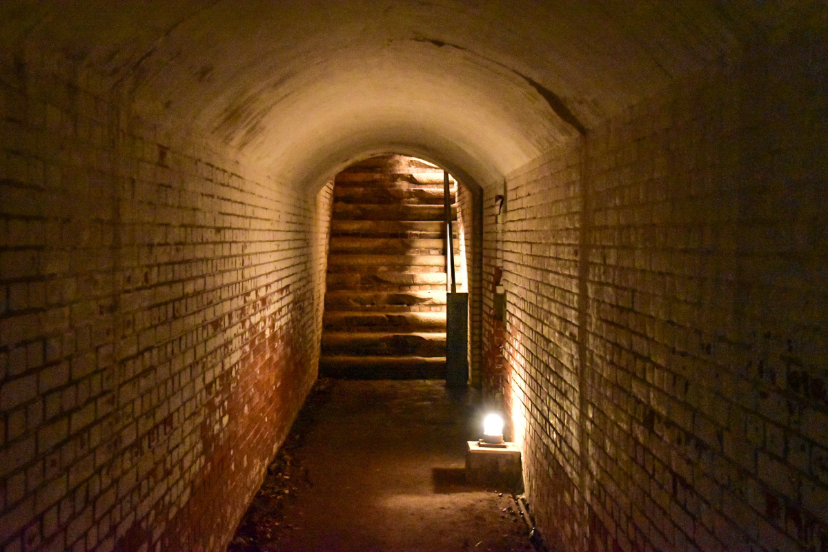 m̖CՂ߂̃nCCguOCՁv