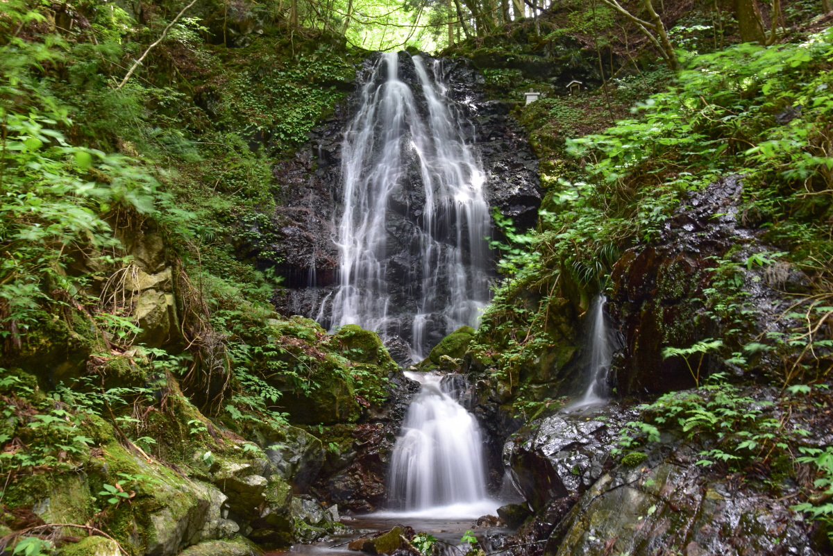 us̑v͎OR̘[A21[g̗Dȑ