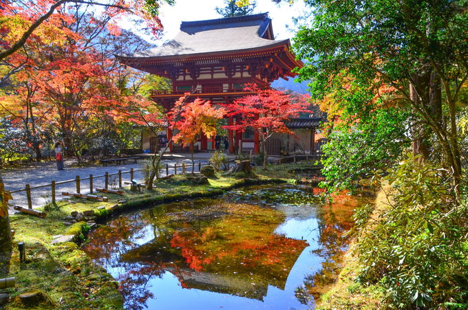 色鮮やかなモミジやイチョウに彩られる秋の室生寺