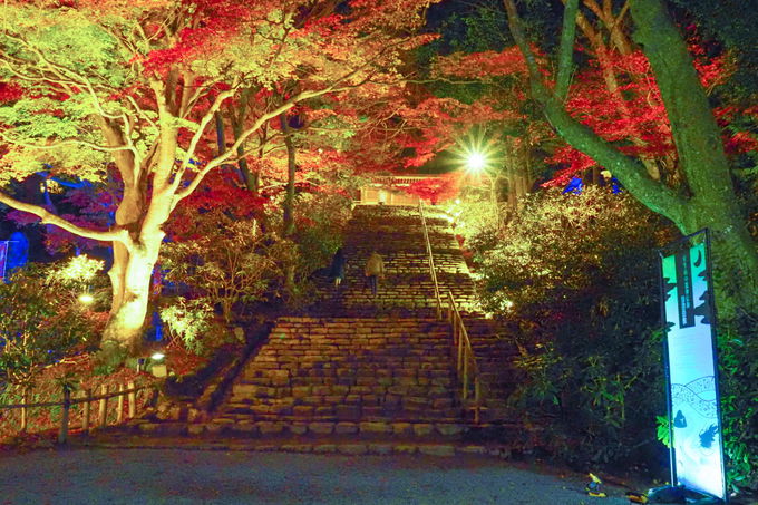 ԌŊJÂugtCgAbvvĂ݂