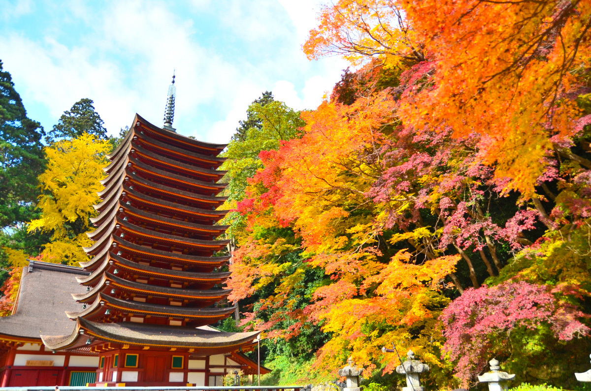 談山神社のランドマーク「十三重塔」の季節ごとの美しさ