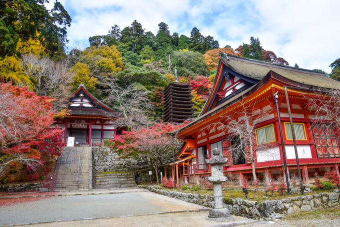 奈良県随一の紅葉の名所として知られる「談山神社」とは
