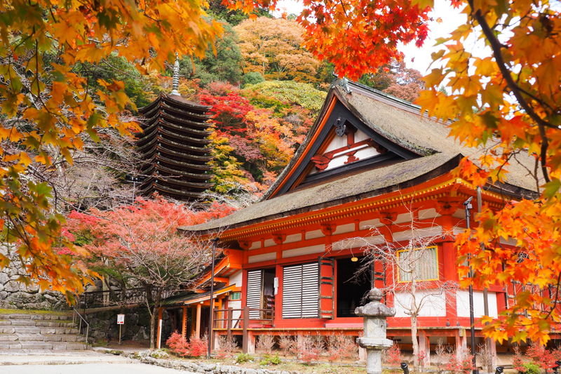 美しい紅葉とライトアップも！奈良「談山神社」もみじ祭り
