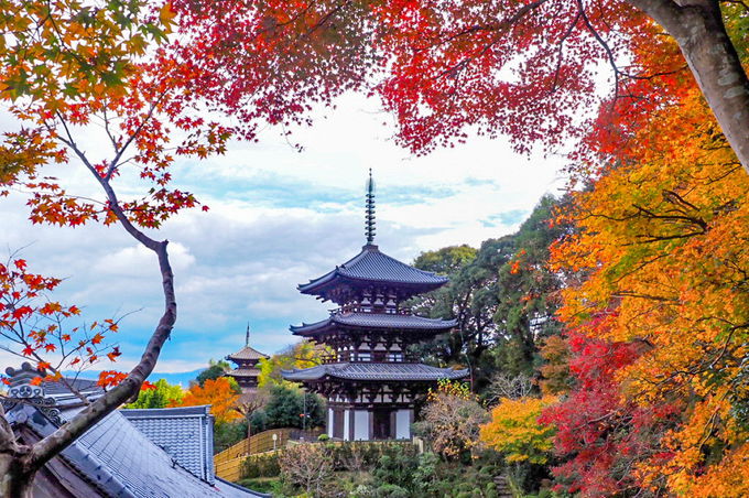 国宝の2つの三重塔を一望！奈良・當麻寺「西南院」の絶景 | 奈良県