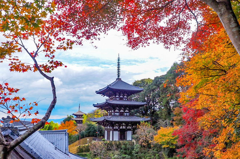 国宝の2つの三重塔を一望！奈良・當麻寺「西南院」の絶景 | 奈良県