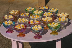 XCZOXIޗǁuʎ᎛v͓̐~̋̕LTlC