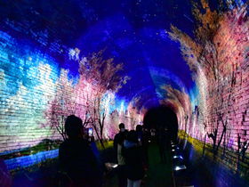 大阪・柏原「亀の瀬トンネル」“光の旅路”と龍田古道を歩く