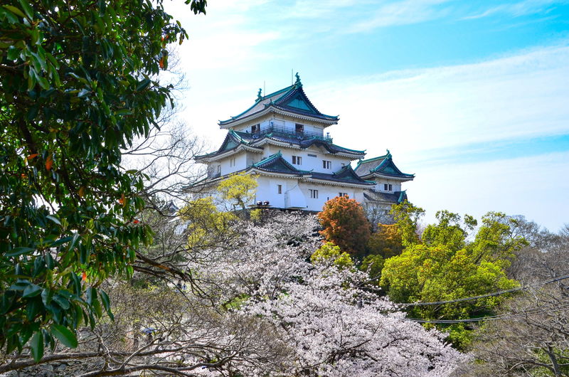 お花見遊覧船も！和歌山・春爛漫の「和歌山城公園桜まつり」 | 和歌山