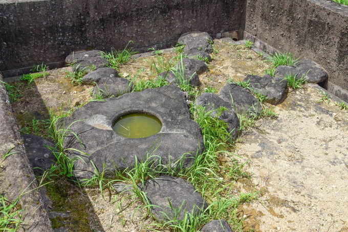 wV̏郉s^x̃{bĝ悤ȕsvcȑb