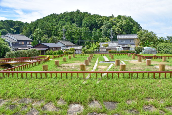 wV̏郉s^x̃{bĝ悤ȕsvcȑb