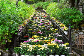 JtȁuяHeLvƍgtIޗǁEJŏH̐i𖞋i̋LTlC