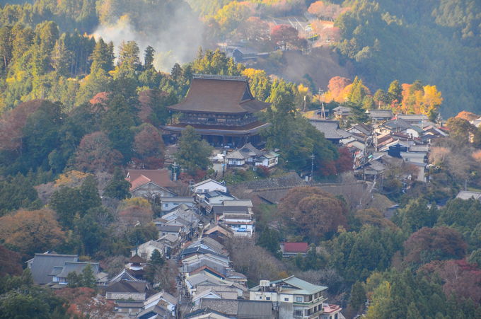 上千本の絶景スポット「花矢倉展望台」からの眺望