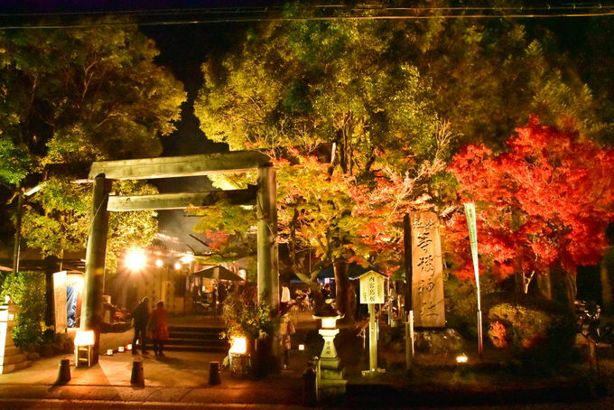「等彌神社 献灯祭」で贅沢な時間を過ごすのも楽しい