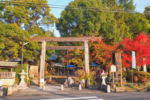 zIȁgt~WhIޗǁEu\_Ёv̍gt