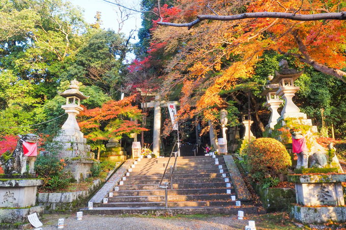 桜井市屈指の紅葉スポット「等彌神社」とは