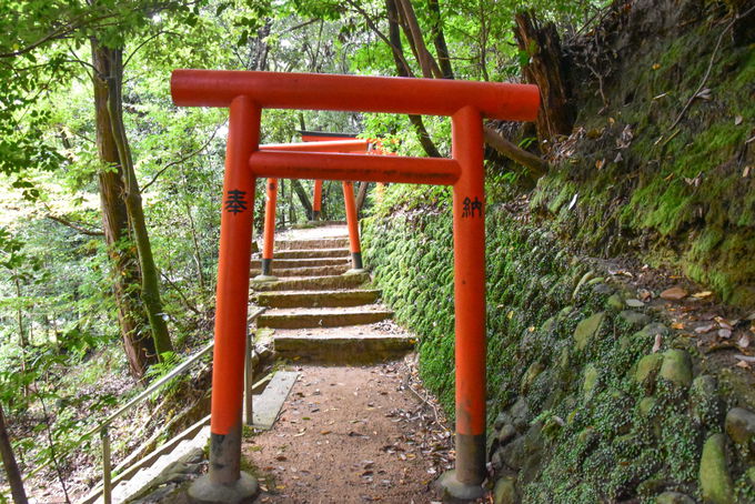 日本国建国の聖地「鳥見山」のハイキングもおすすめ