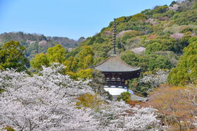 ���Ɨ��j�I�������̋����I�a�̎R�u���Ҏ��v�ł��Ԍ��𖞋i�̋L���T���l�C��