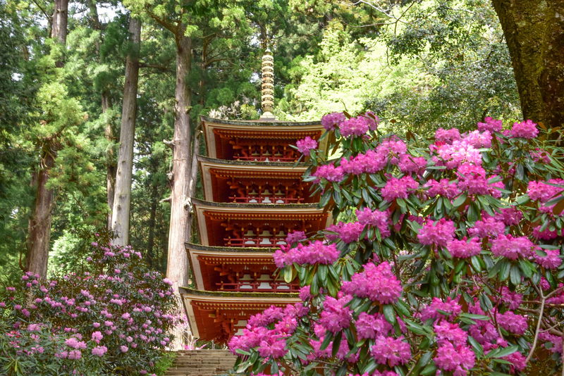 K掛軸　昇花香満衣　女人高野大本山室生寺　大僧正智等作書付　共箱紙箱S965KJ 4C8C6DA6BBB6413A83AEFE673C5365