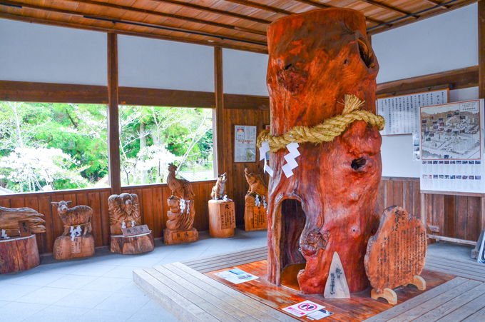 Iɍ̃[cA؂̐_lJuɑV]_Ёv