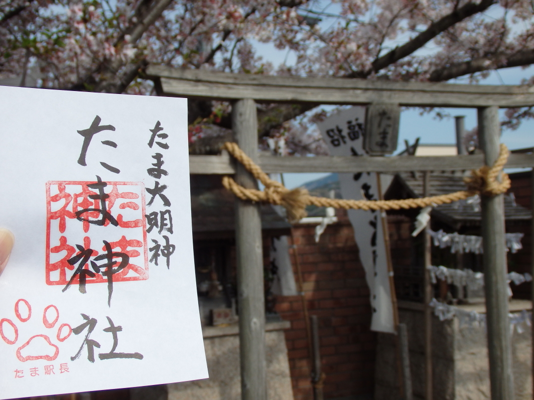 uMuwvɁuEgw j^}vK˂悤