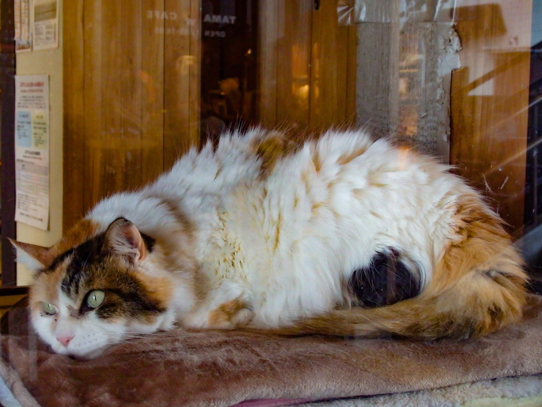 uMuwvɁuEgw j^}vK˂悤