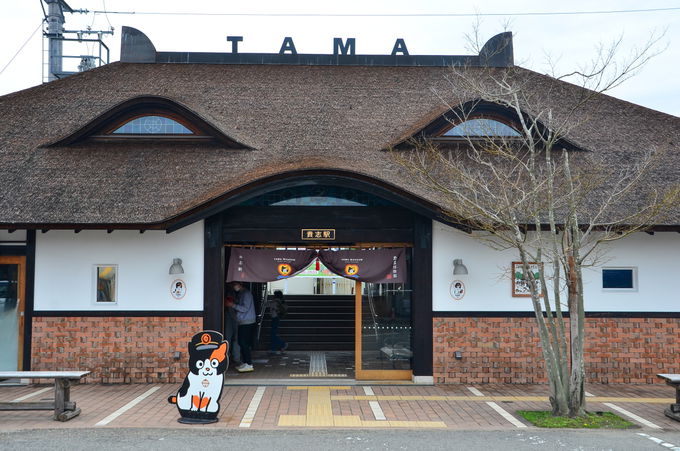 uMuwvɁuEgw j^}vK˂悤