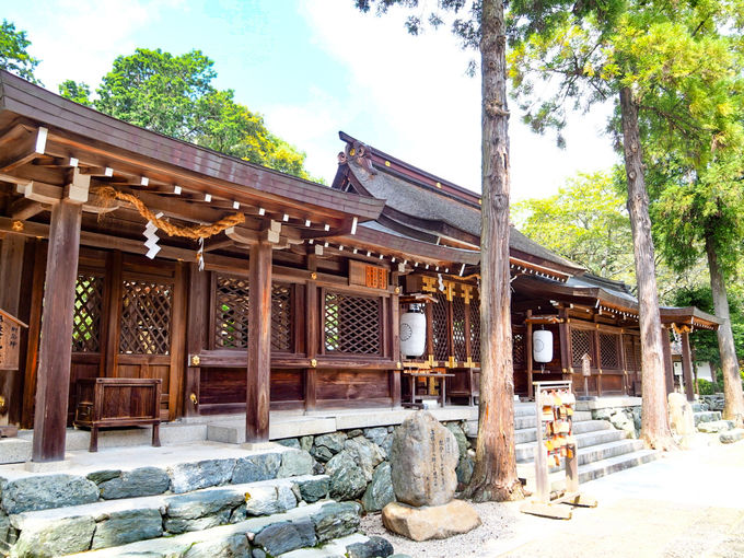 Iɍ̃[cA؂̐_lJuɑV]_Ёv