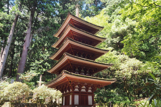 ̊OȂtHgX|bguQvƁu܏dv