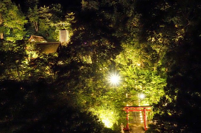 kR_Ђ̒񓔂ŃtHgWFjbNȎʐ^Bey