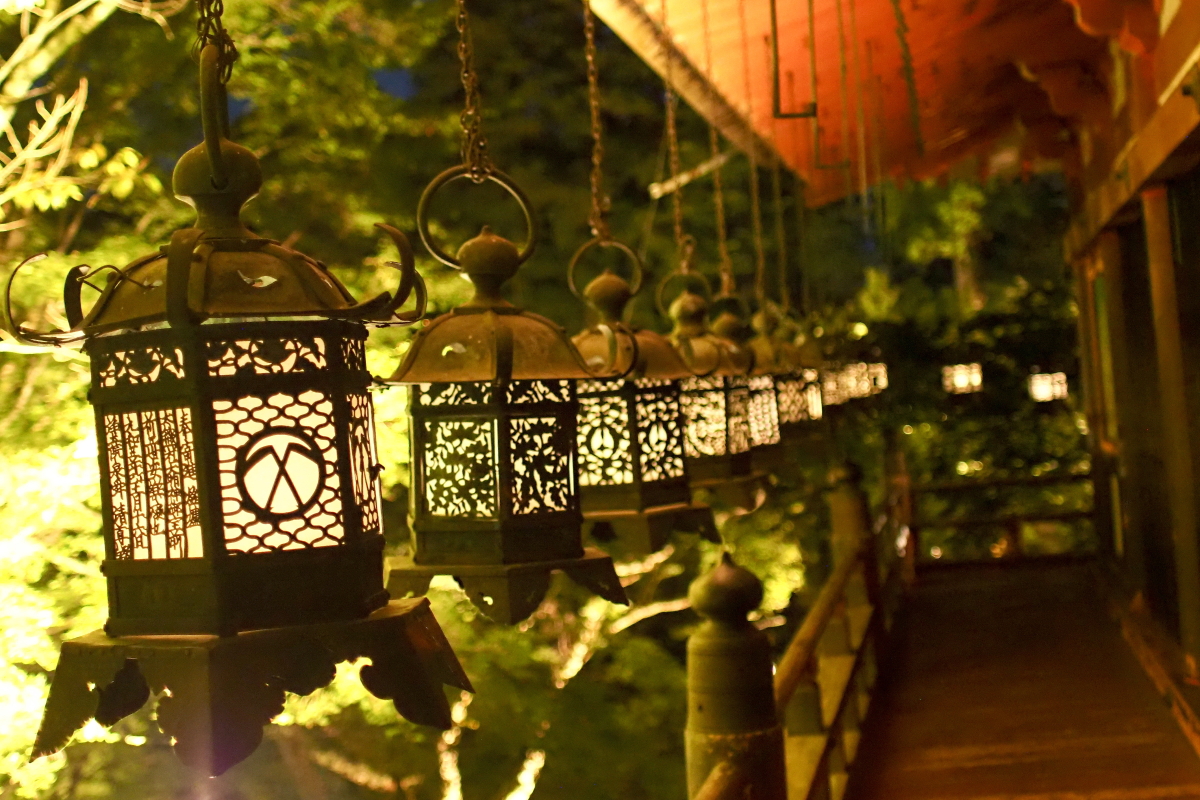 Ă̂ق̓肪uՃCgAbvv