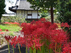 奈良・吉野山の紅葉が絶景！奥千本・高城山展望台で紅葉狩り | 奈良県