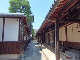 q~̒̑q~!?REq~ϒnu炢 匴{@v̋LTlC