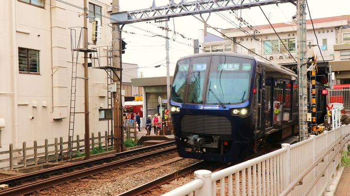 ぶらり 旅がおすすめ 魅力と癒しがいっぱい横浜 相鉄線 神奈川県 トラベルjp 旅行ガイド