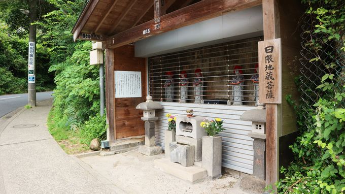 古民家カフェで朝食を 江ノ電極楽寺 坂ノ下へ 鎌倉さんぽ 神奈川県 トラベルjp 旅行ガイド